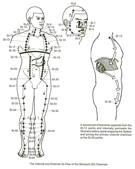Stomach Meridian Meridian Charts Acupuncture Traditional Chinese