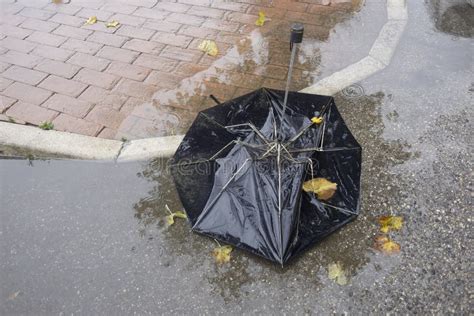 Broken Umbrella Stock Image Image Of Storm Rainy Broken 103923867