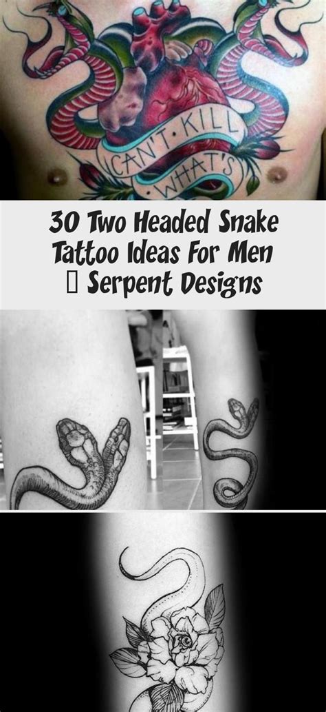 30 Two Headed Snake Tattoo Ideas For Men Serpent Designs In 2020