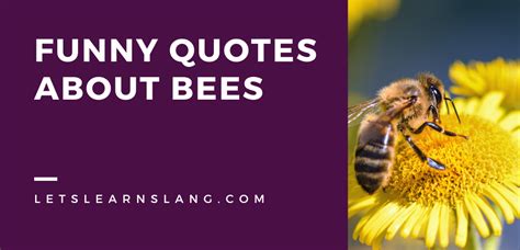 100 Funny Quotes About Bees That Will Leave You Buzzing Lets Learn Slang