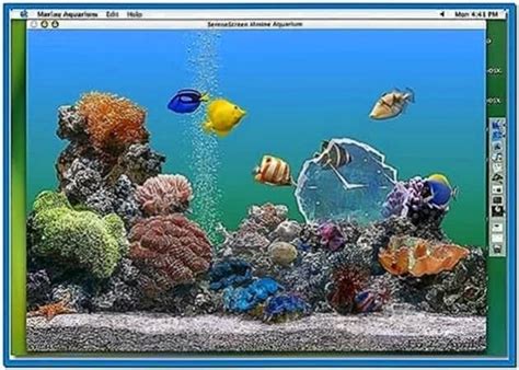 Best Mac Aquarium Screensaver Download Screensaversbiz
