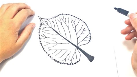 How To Draw A Leaf Step By Step Easy Drawing Of Leaf