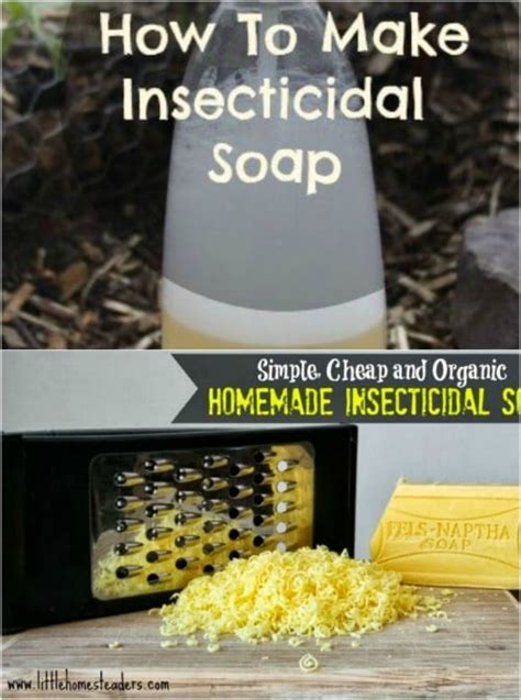 10 Homemade Insecticides That Keep Your Garden Pest Free Naturally