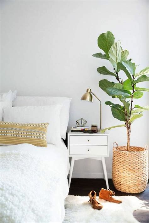 Wichtige aufgabe von pflanzen im schlafzimmer. minimalistisch eingerichtetes Schlafzimmer mit Doppelbett ...