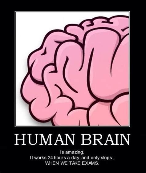 Human Brain Is Greatest One Brain Pictures Funny Quotes Human Brain