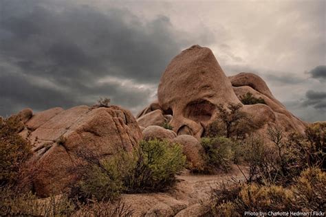 Interesting Facts About Joshua Tree National Park Just