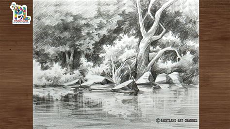 How To Draw Trees And Bushes In The Forest With Easy Pencil Sketch And Shading Step By Step