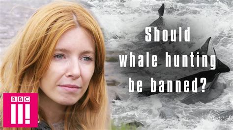 Download stacey dooley investigates torrents absolutely for free, magnet link and direct download also available. Is It Ethical To Hunt Whales? | Stacey Dooley Investigates ...