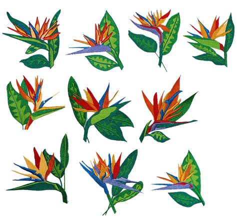 Check spelling or type a new query. Images For > Bird Of Paradise Flower Tattoo | Tatuaggi, Idee
