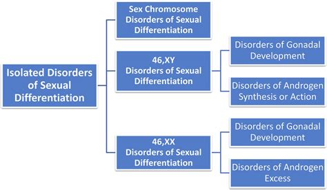 Differential Diagnosis In Isolated Disorders Of Sex Development