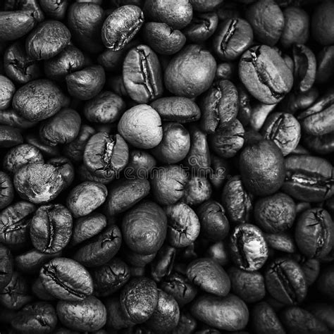 Closeup Monochrome Photo Of Roasted Coffee Beans Stock Photo Image Of