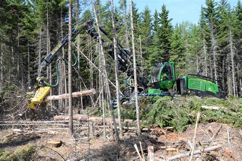 Maine Logging Industry Counting On Relief In Latest Federal Covid 19