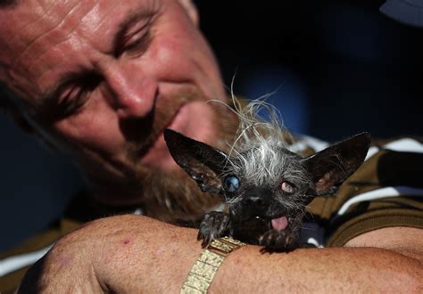 Meet Sweepee Rambo Officially Crowned Worlds Ugliest Dog Time