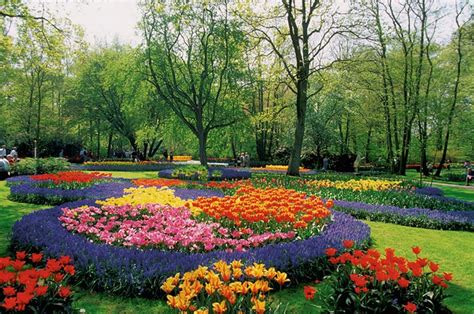 Next, you need to do a soil test. Landscape Design