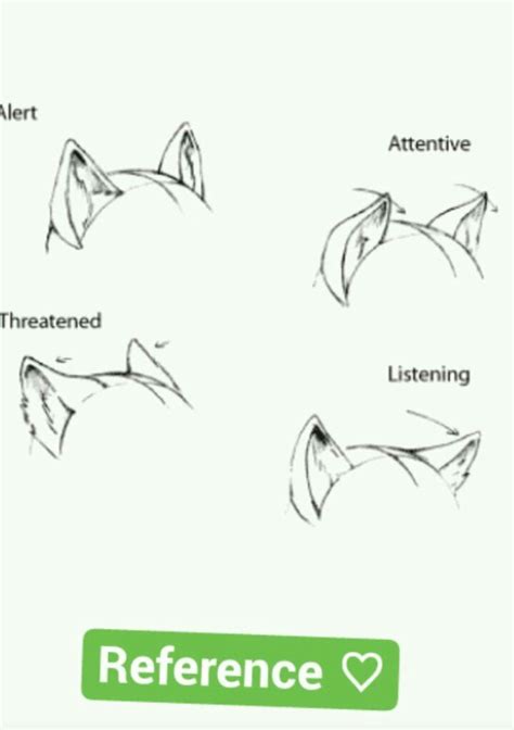 Wolf Ears Drawing At Getdrawings Free Download