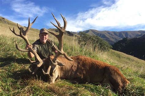 10 Day New Zealand Hunting Packages Itinerary Nz Luxury Escapes