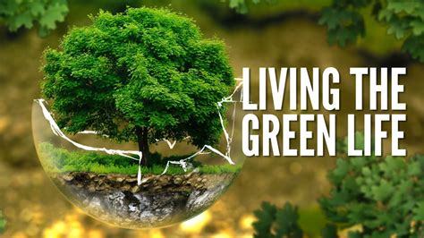 A new green lifestyle concept. Living the Green Life | McDaniel College - YouTube
