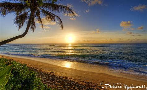 Sunset Beach On Oahu Hawaii Beach