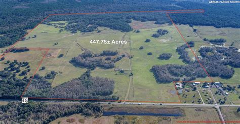Land O' Lakes, Pasco County, FL Undeveloped Land for sale Property ID