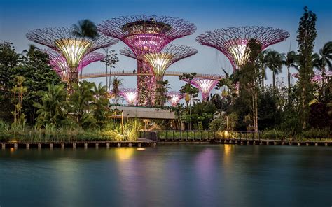 Gardens By The Bay Light Show Everything You Need To Know