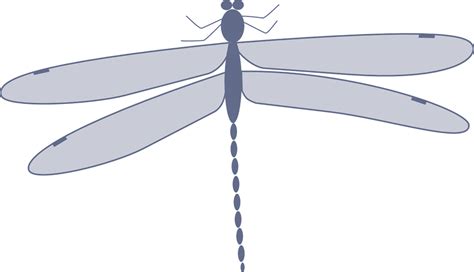 Clipart Border Insect Clipart Border Insect Transparent Free For