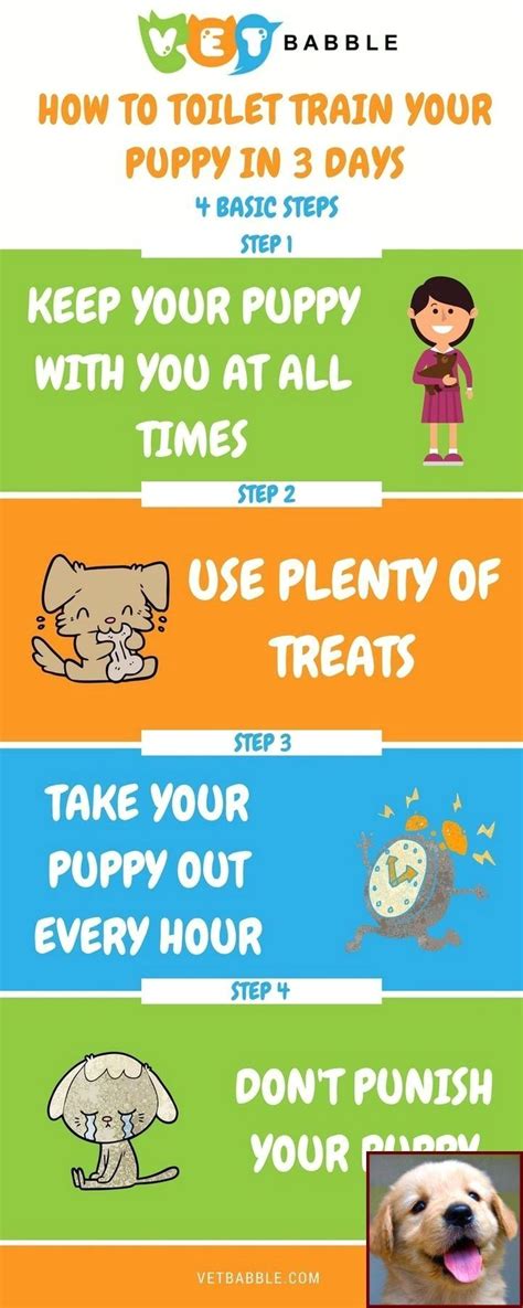 Get education/training information, practice information, health insurance affiliations and contact information. #1 Have Dog Behavior Problems? Learn about Potty Training ...