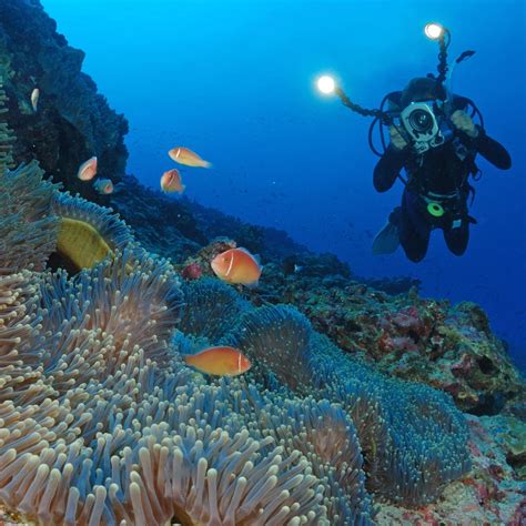 Norfolk Island Scuba Diving Memugaa