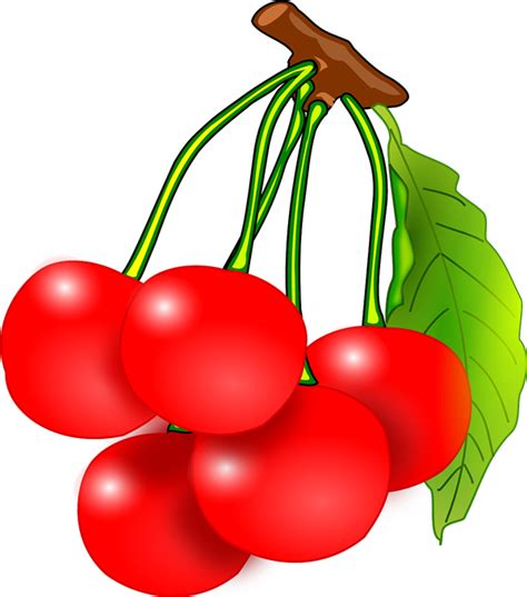Cherry Cherries Fruit Clip Art Vector Free Clipart Images Image My