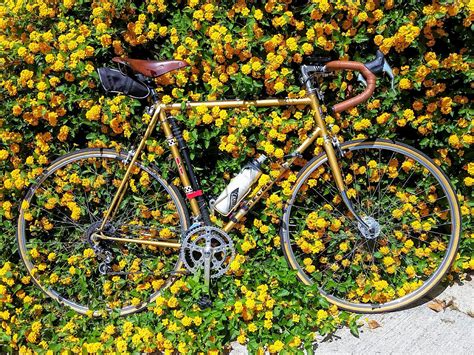 Here are 7 of the most common ways to remove a stripped bolt (or rounded, rusted, or seized). Show me artsy photos of your bike - Page 2 - Bike Forums
