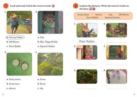 Peter Rabbit And The Angry Owl Activity Book Ladybird Readers Level