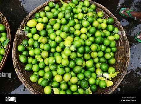 Bangladeshi Limes Hi Res Stock Photography And Images Alamy