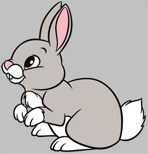 Cartoon Bunny Use These Free Images For Your Websites