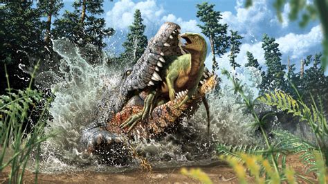 Fossils Shows 93 Million Year Old Giant Crocodile Ancestor With A Young
