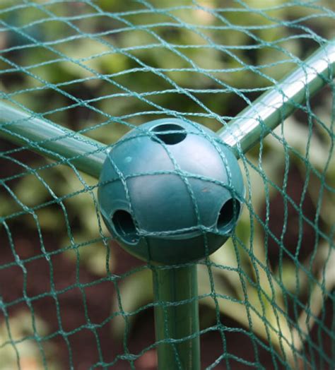 Maybe you would like to learn more about one of these? 1.25m tall Fruit & Vegetable Crop Protection Cage | 2m x ...