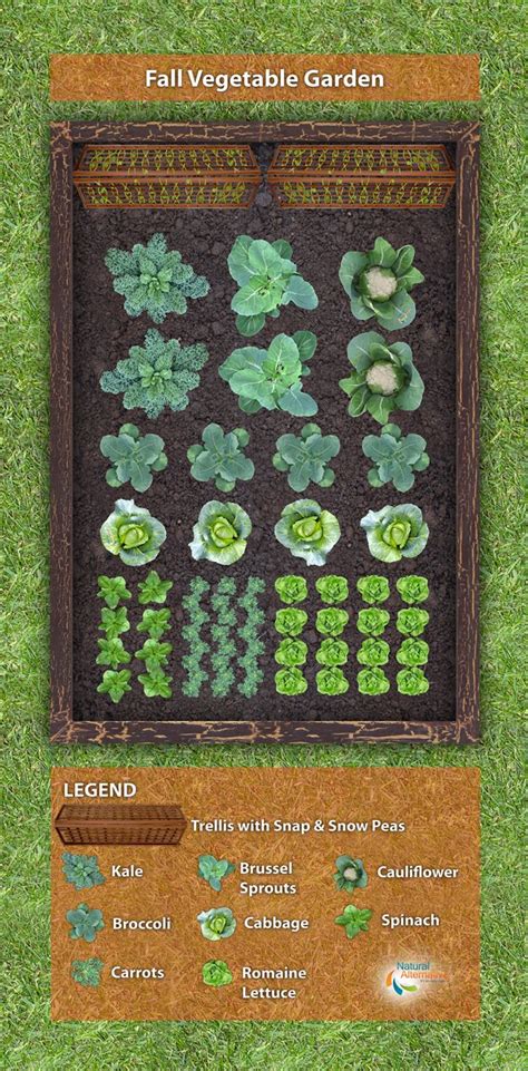 19 Vegetable Garden Plans And Layout Ideas That Will Inspire