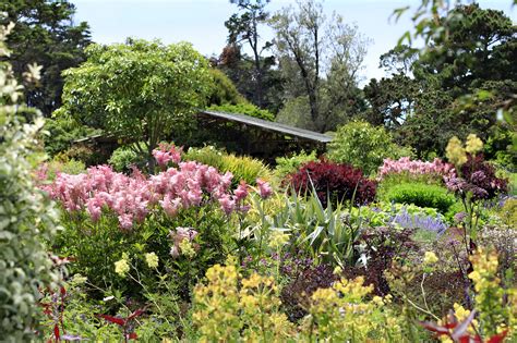 Maybe you would like to learn more about one of these? Perennial Garden - Collections - MCBG Inc. 2020 | Fort ...