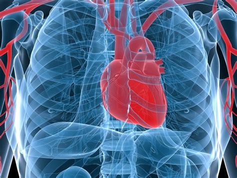 Tętniak aorty brzusznej co go powoduje i jak się objawia Choroby