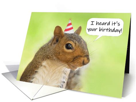 Happy Birthday For Anyone Cute Squirrel In Party Hat Humor Card