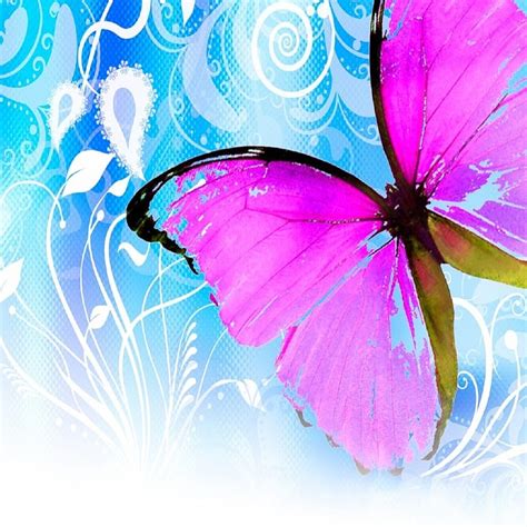 Pink Butterfly Blue Butterflies White Hd Phone Wallpaper Peakpx