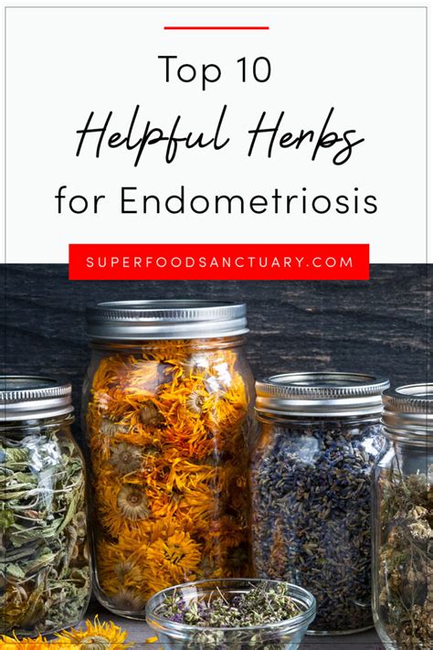10 Helpful Herbs For Endometriosis Superfood Sanctuary