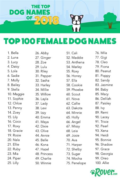 The Top 100 Female Dog And Puppy Names Of 2018 Puppy Names Female
