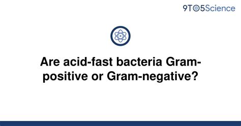 Solved Are Acid Fast Bacteria Gram Positive Or 9to5science