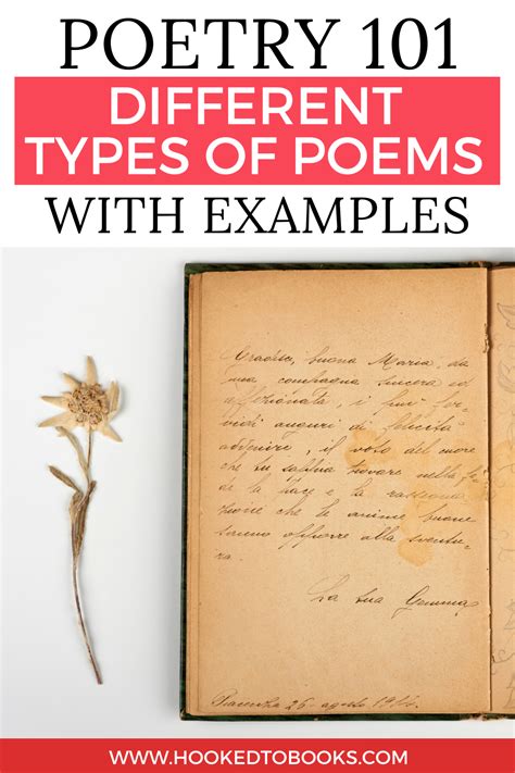 Poetry 101 13 Different Types Of Poems With Examples Artofit