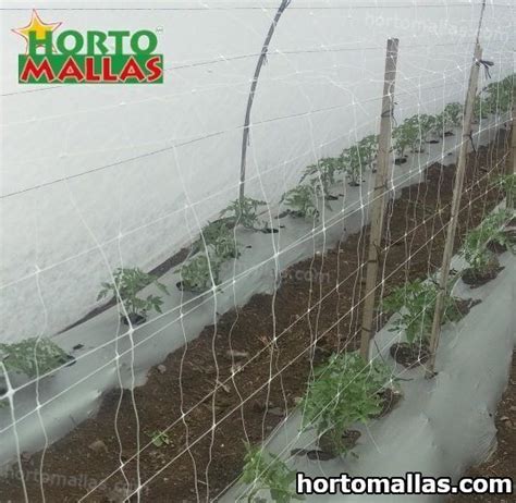 Hortomallas Support Tomato03 Hortomallas™ El Soporte De Tu Cultivo®