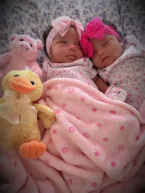 Twins Baby Twin Baby Girls Twin Babies Baby Girl Newborn