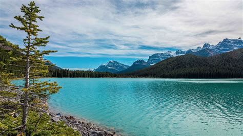 Athabasca Accommodated Tour Adventure Bus Tours In Western Canada
