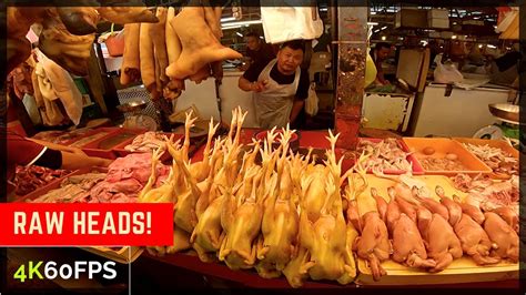 As a rule, wet kitten food contains more meat and fewer carbs than its dry counterpart. FILTHY WET MARKET | Buying Meat In Malaysia | Walking Tour ...