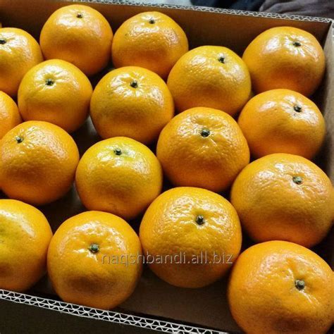Fresh Fruits Mandarin Kinnow Citrus From Pakistan 2020 Crop Buy In