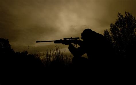 Sniper Hd Wallpaper Background Image 2560x1600 Id