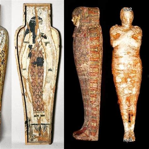 Scientists Have Discovered Worlds First Pregnant Egyptian Mummy Daily Reuters